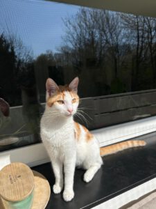 Rusty_märz24