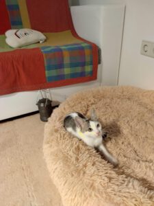 MIZI_01.08.2025