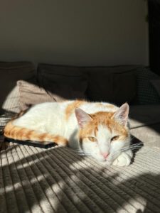 Rusty_märz24