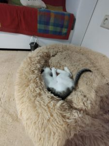 MIZI_01.08.2025