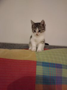 LENNY_01.09.2025
