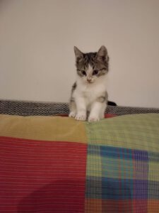 LENNY_01.09.2025