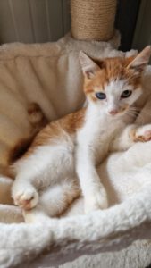 Pippo_01.05.2025