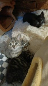 Renate_15.08.2025