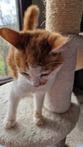 Pippo_01.05.2025