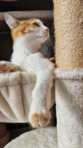 Pippo_01.05.2025