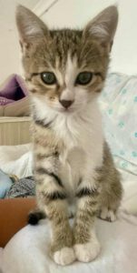 Ester_06.06.25