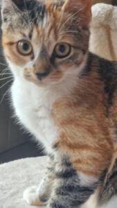 Lunna_22.05.2025