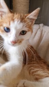 Pippo_01.05.2025