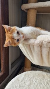 Pippo_01.05.2025