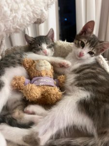 Khitty_Nubi_jul25