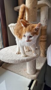 Pippo_01.05.2025