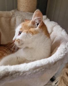 Pippo_01.05.2025