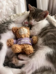 Khitty_Nubi_jul25
