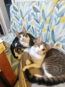 desiree_05.25_Krasen_04.25