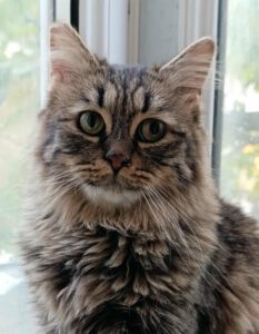 573695033_664677179829479_1943560035601705652_n