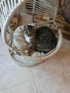 574615809_1499953004606406_4898312051407539229_n