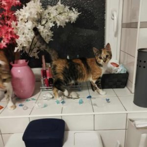 Mayya_01.05.2024_Lunna_01.05.2024