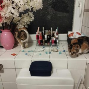 LUNNA_22.05.2025_Mayya_01.05.2024