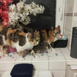 LUNNA_22.05.2025_Mayya_01.05.2024