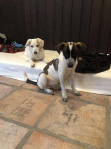 576514333_25181567788174444_1645415543576186271_n