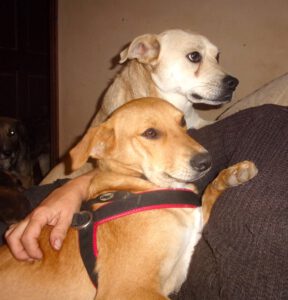 Mitter_jan25_Shantelle_Apr22