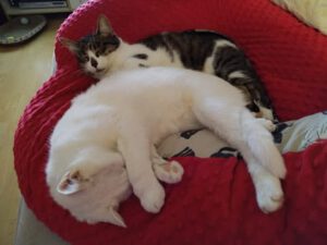 582040459_778659675211199_6842710479013289286_n