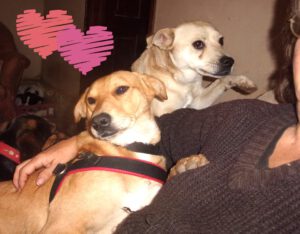 Mitter_jan25_Shantelle_Apr22