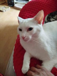 582216925_772639192484858_2665251024008674171_n