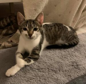 582255204_834972586158254_8125056554817703832_n