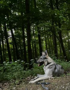 582271746_1202411265136725_8592214070305379872_n