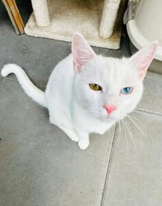 583054056_1133945975395706_5265095672536481869_n