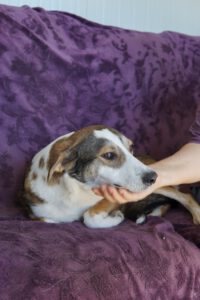 584932010_1298179565676026_668683382305144466_n