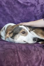 585573841_1298180789009237_1669920434066170198_n