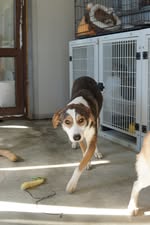 586239897_1298180062342643_839542131493936033_n