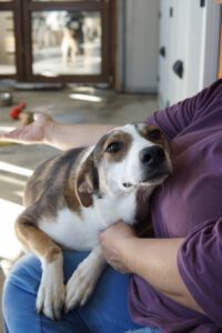 586587215_1298180639009252_3251430347590385647_n