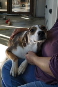 586805329_1298179915675991_3519890278995318176_n