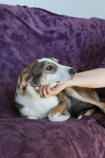 586854656_1298179412342708_429839466706243644_n