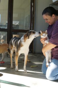 587464558_1298183439008972_5488663052372108044_n