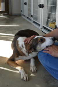 587589735_1298181139009202_3631015526845496969_n