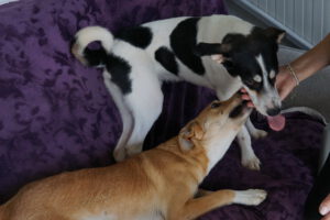 ANDRES + MOSELLE_jan25