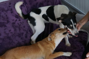 ANDRES + MOSELLE_Jan25