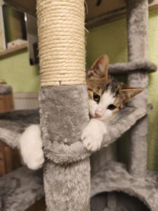 Ausgewähltes Foto (1)