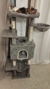 LUNNA_22.05.2025_Mayya_01.05.2024