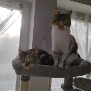 LUNNA_22.05.2025_Mayya_01.05.2024