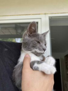 MissWeasley_01.04.2025