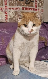 RustyRocco_01.05.2024