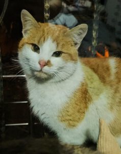 RustyRocco_01.05.2024