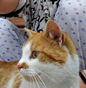 RustyRocco_01.05.2024