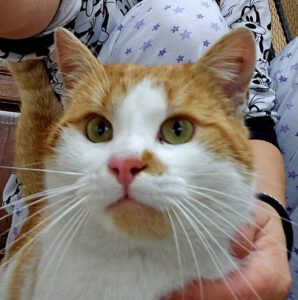 RustyRocco_01.05.2024